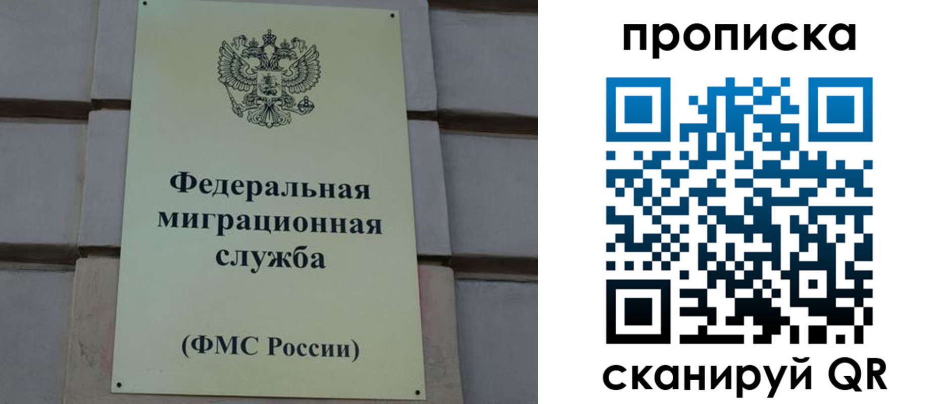 прописка поиск в Муроме